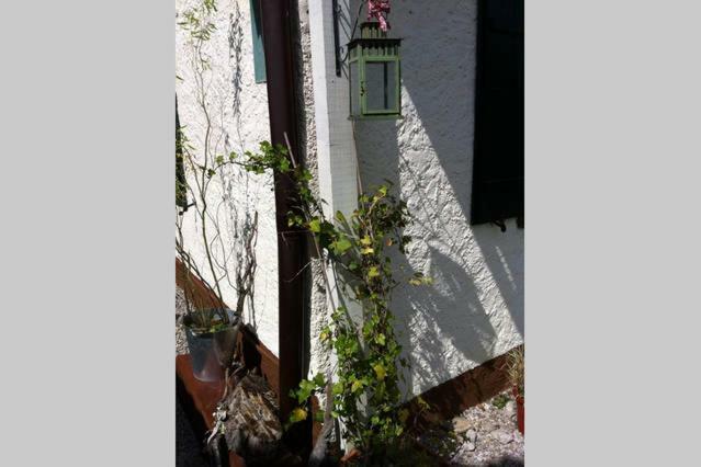 Apartamento Haus Tulpe Strobl Exterior foto